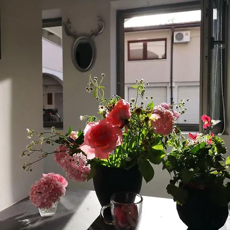 Rimona Apartman *